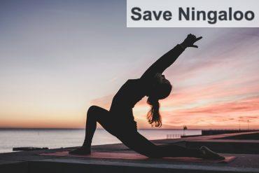 silhouette photography of woman doing yoga
