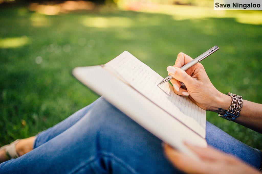 Escribiendo