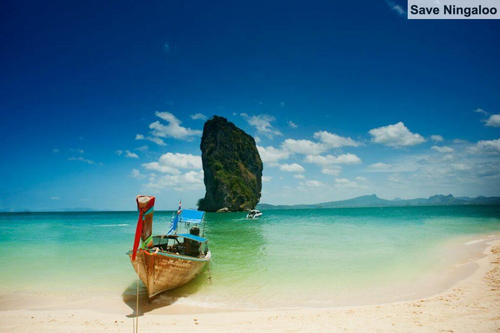 Brown on Seashore Near Mountain