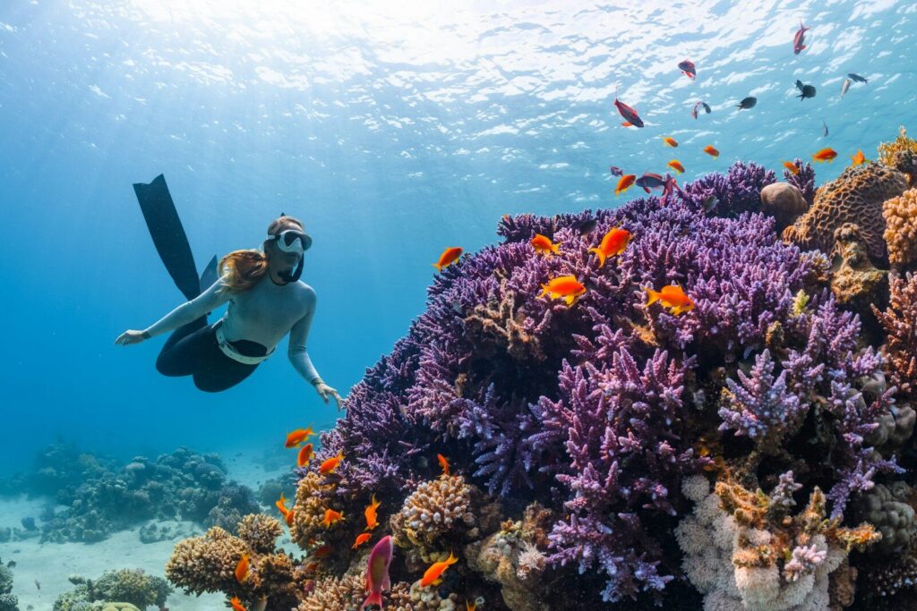 Mujer haciendo snorkel sobre un arrecife de coral colorido
